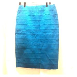 Bodycon skirt (blue)